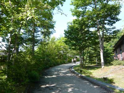 �^���S�V��