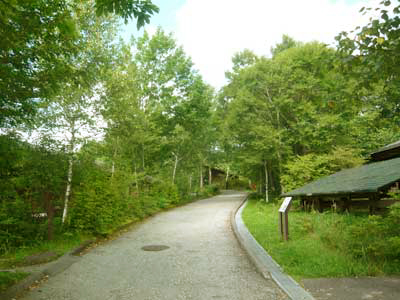 �^���S�V��