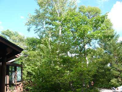 �^���S�V��