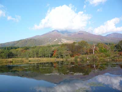 �^���S�V��