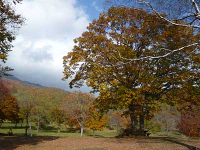 �^���S�V��