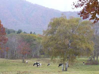 �^���S�V��