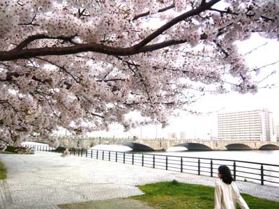 �^���S�V��