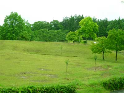 �^���S�V��