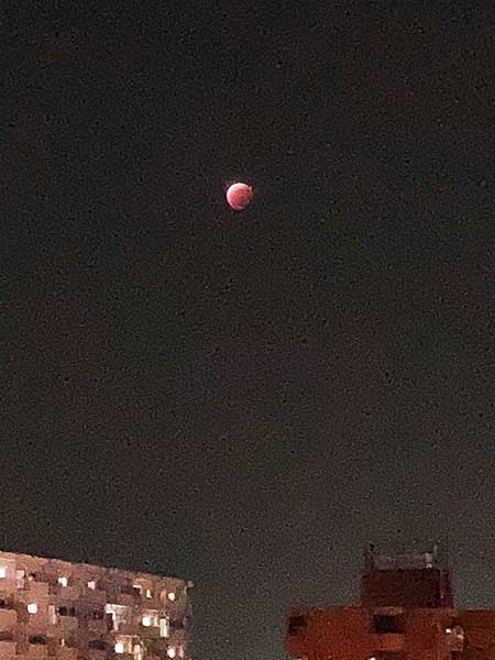 �^���S�V��