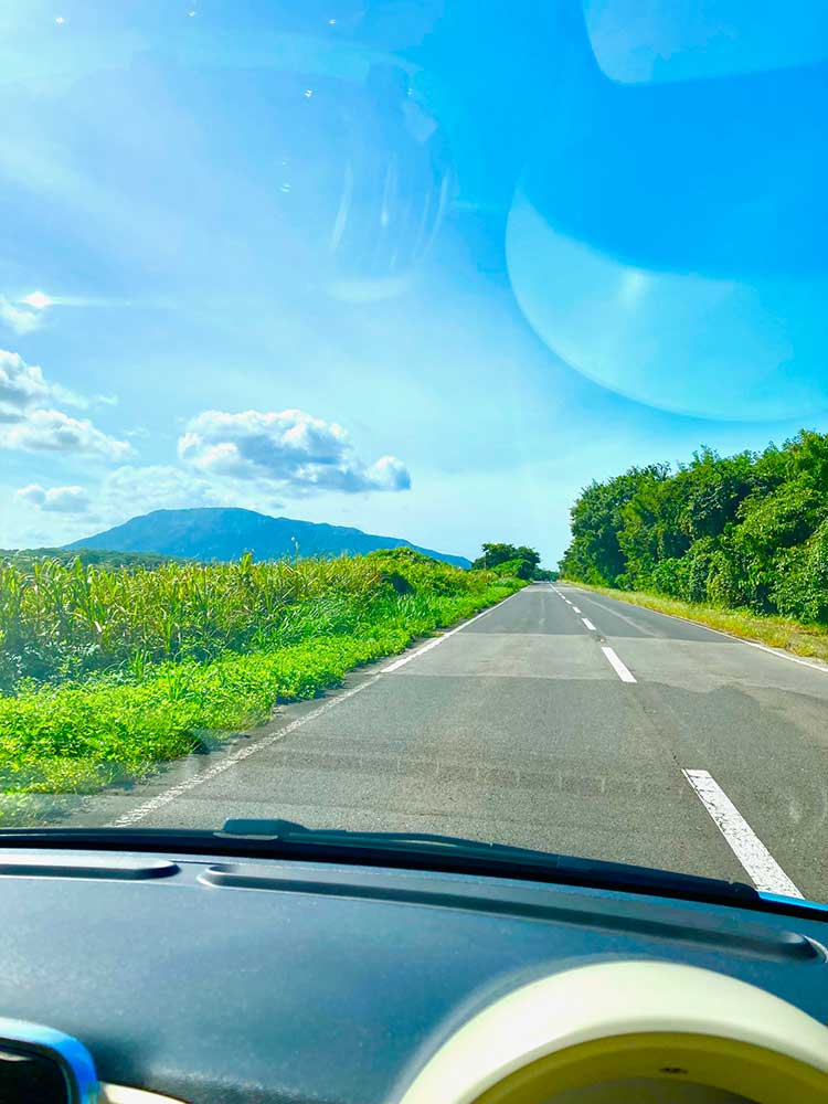 �^���S�V��