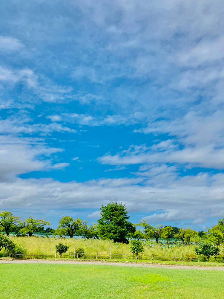 �^���S�V��